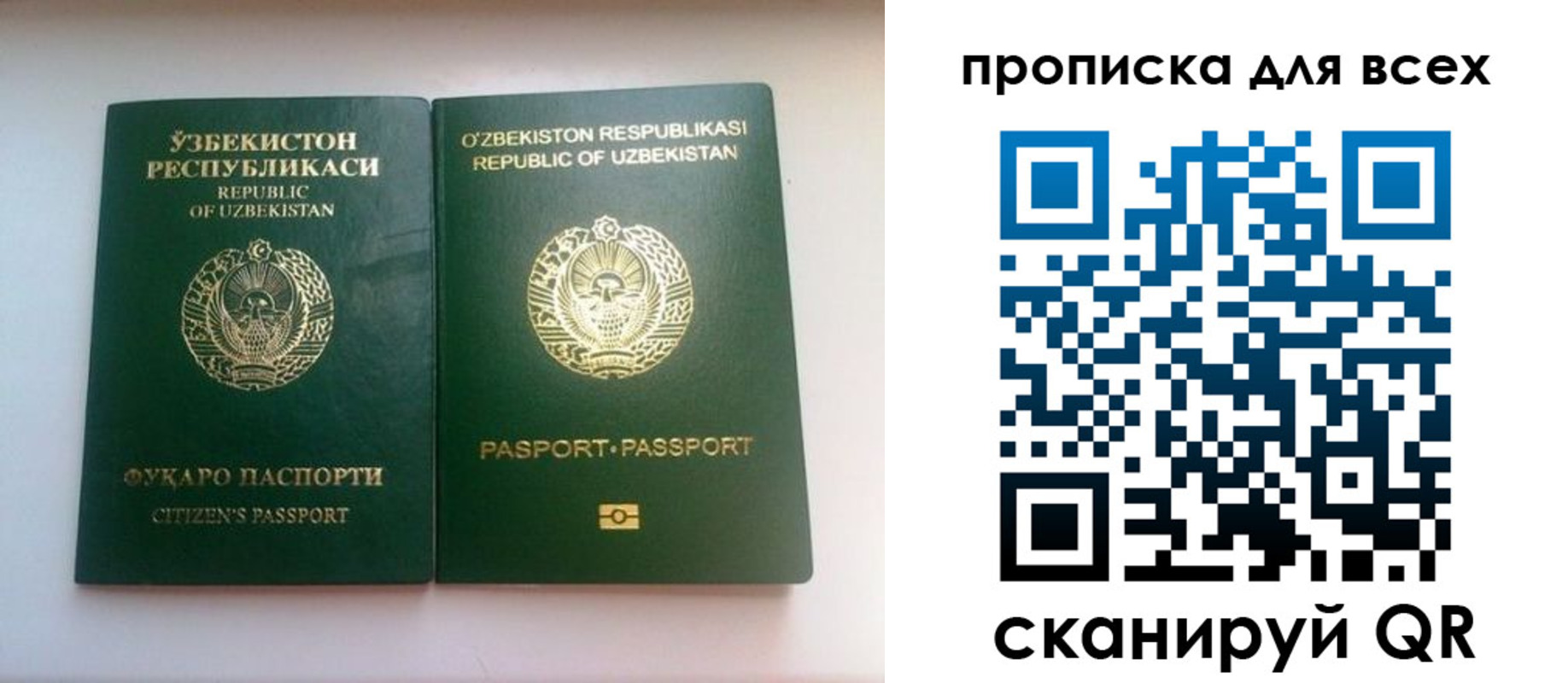 прописка для школы в Павлово